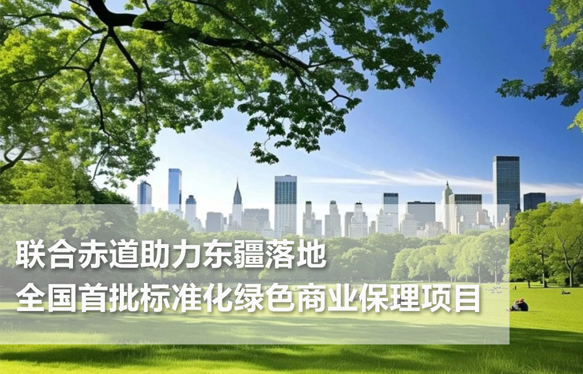 項(xiàng)目